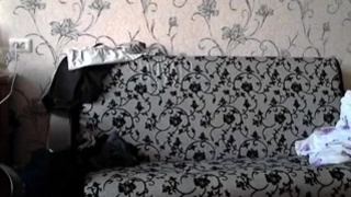 Семейное порно - русские секс видео онлайн